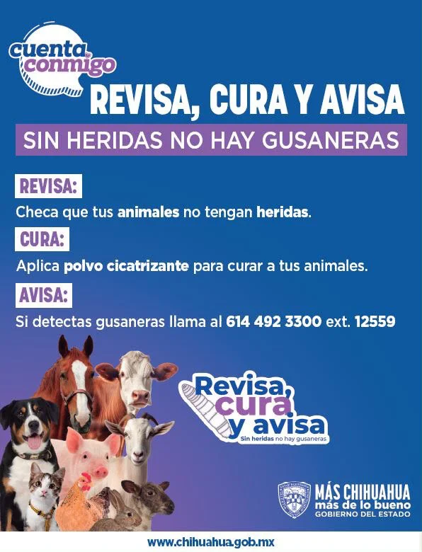 6a91d1a2-9dcf-4200-8328-aa6fdb326bba