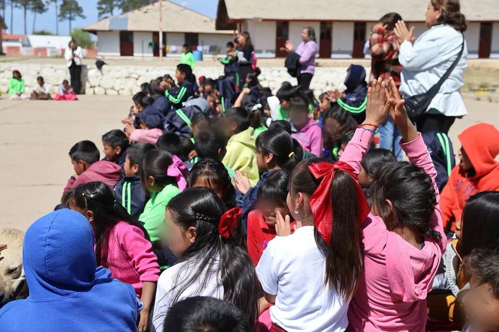 WhatsApp Image 2026-03-18 at 12.13.54 PM (2)