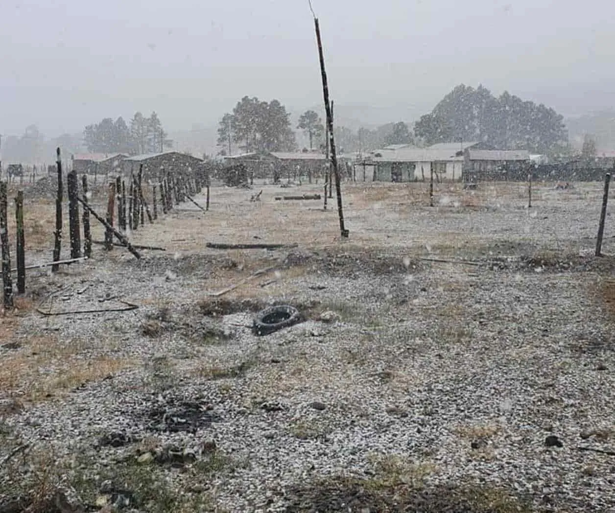 9b1927b03442d317af127b728da22dfaaa57ead9