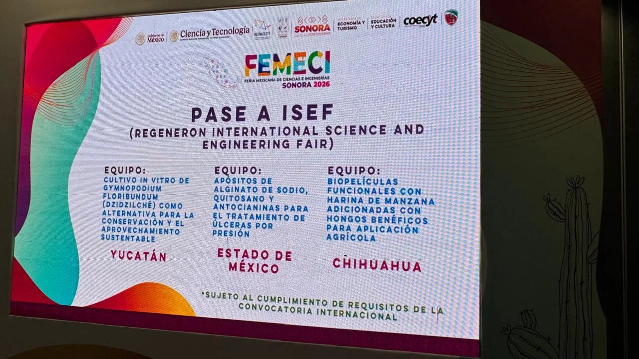 WhatsApp Image 2026-03-14 at 11.28.57 AM