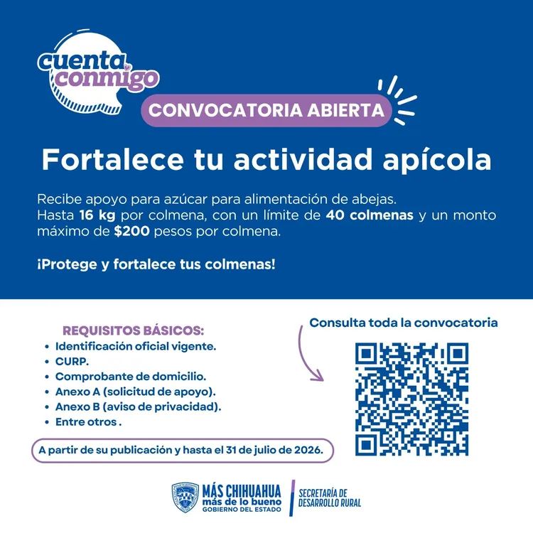 CONVOCATORIA AZUCAR ABEJAS4