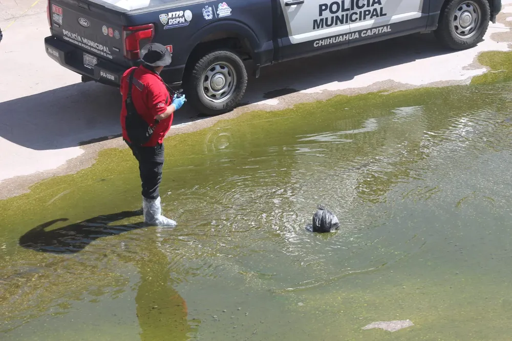CUERPO DECAPITADO CALCINADO CANAL1