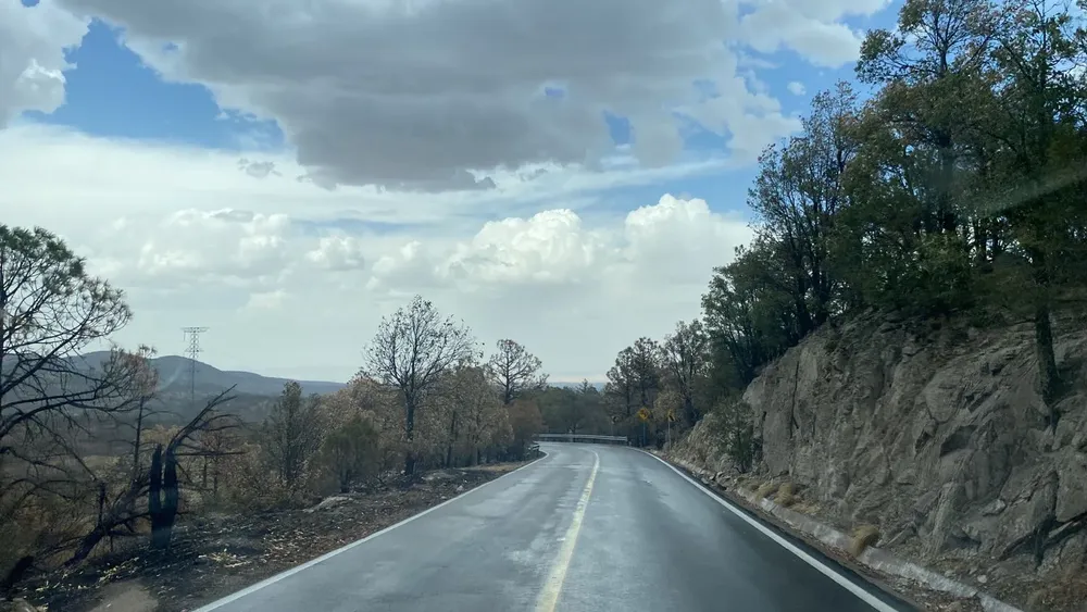 WhatsApp Image 2026-01-21 at 1.13.51 PM