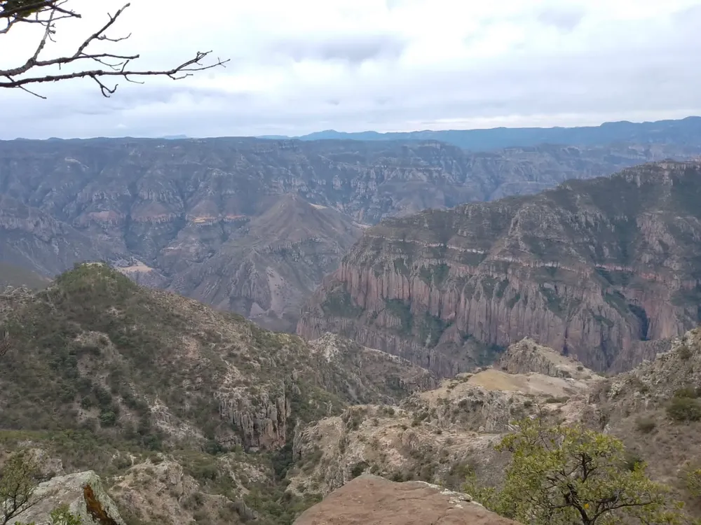 WhatsApp Image 2025-12-12 at 3.57.41 PM (1)