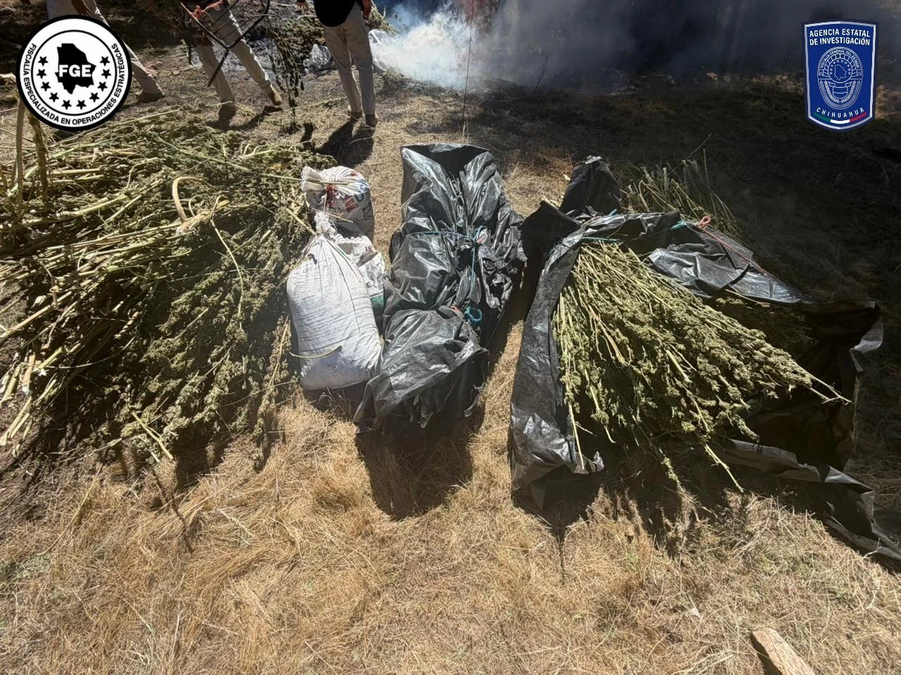 ASEGURAN MARIGUANA GUERRERO2