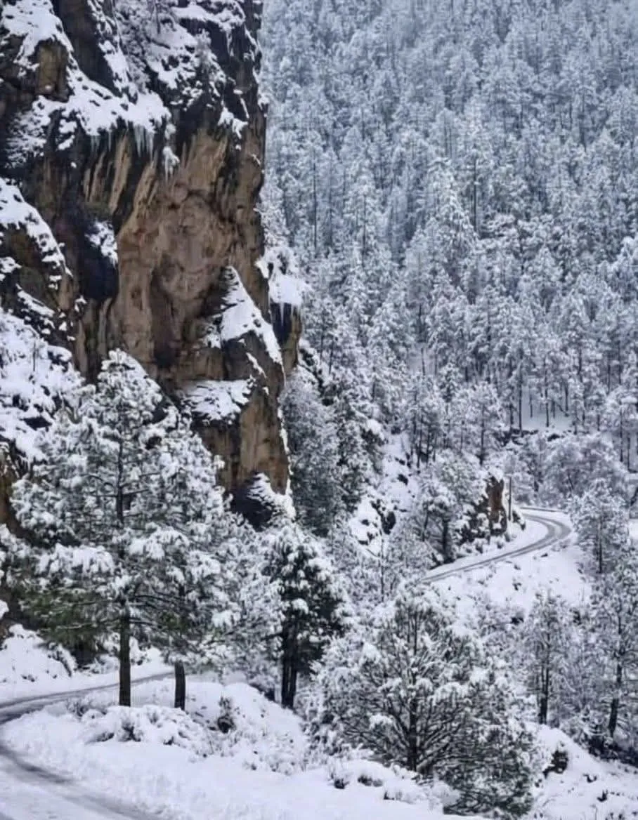 618814879_1220094686897778_200686554235098169_n