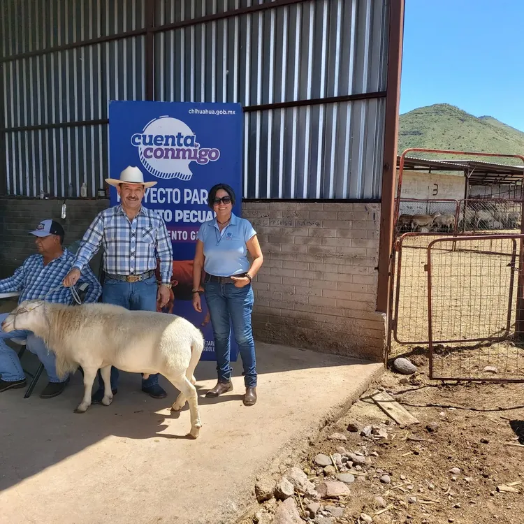 invierte genetica ganado11