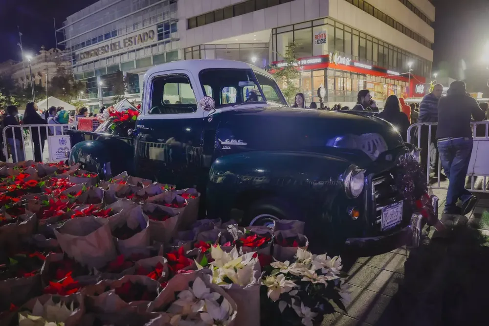 ENCENDIDO ARBOL BONILLA8