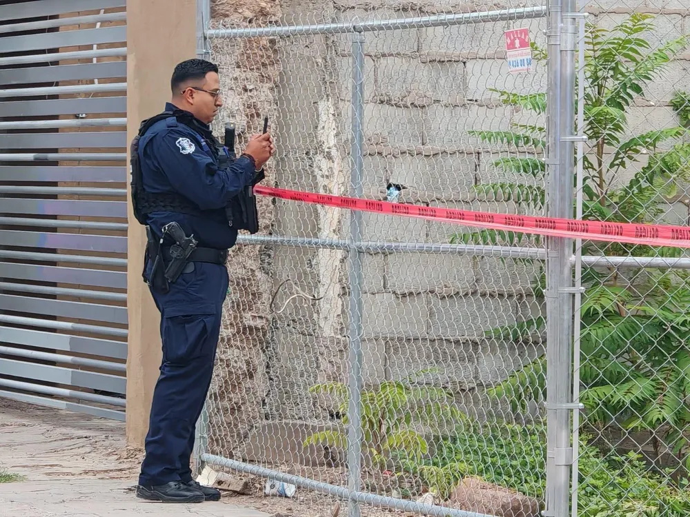 LOCALIZAN CRANEO HUMANO O RESINA2