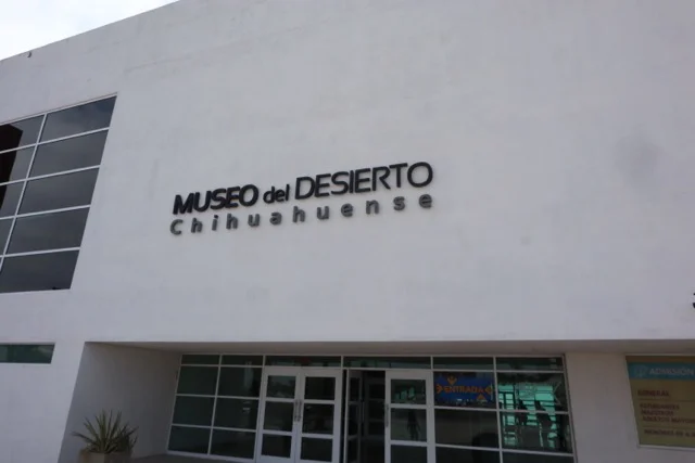 60fb9422-4900-4968-877c-a35f49bb46ce