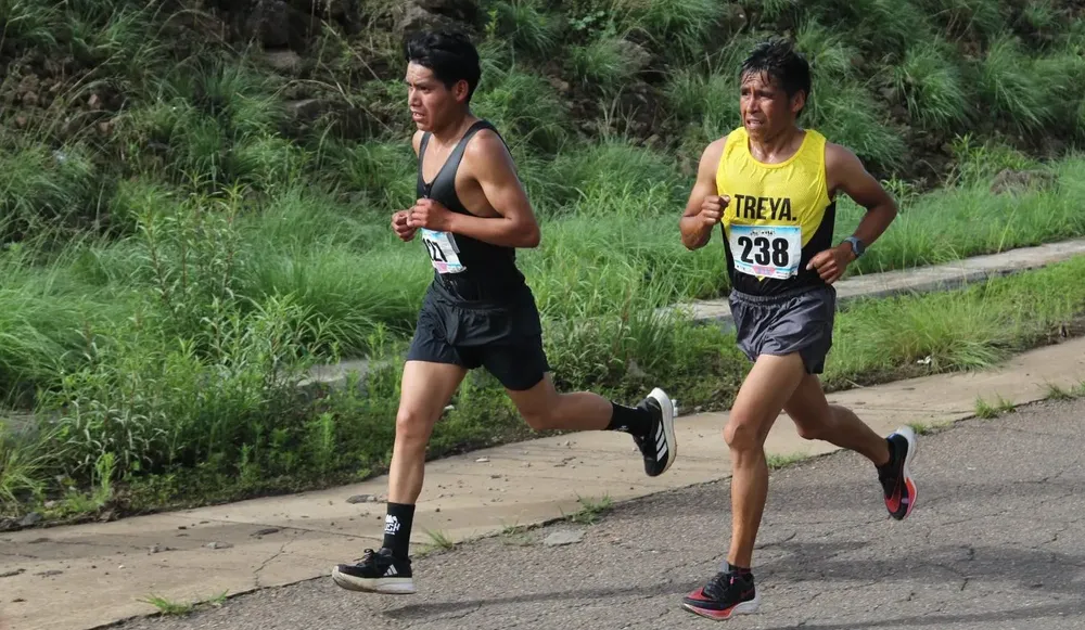 CAMBIO IMAGEN GUACHOCHI6