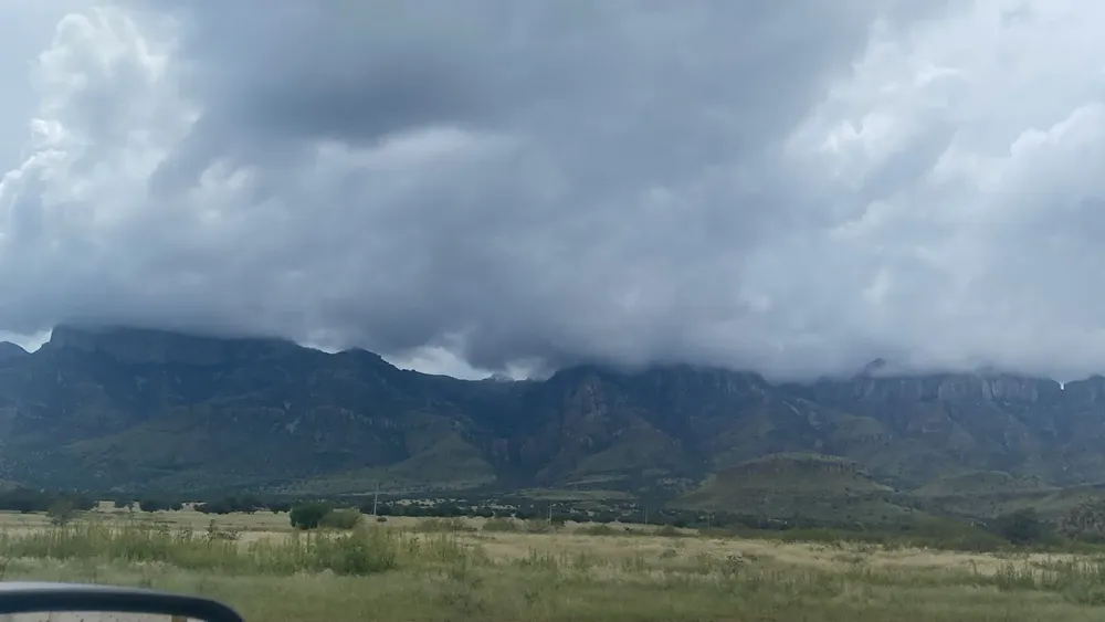 WhatsApp Image 2026-01-21 at 1.13.52 PM (1)