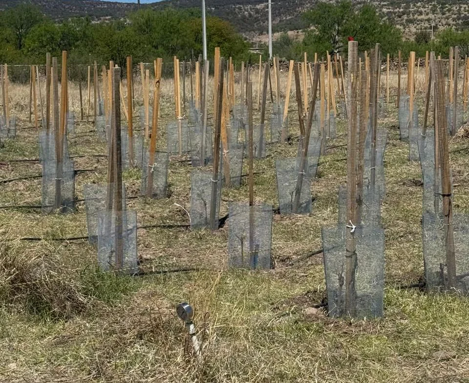 14695008-453a-4b80-9b1d-6a5ad29f07a8