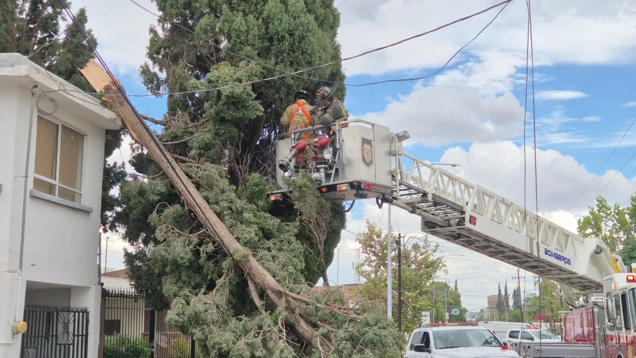 INCIDENTES TORMENTA8