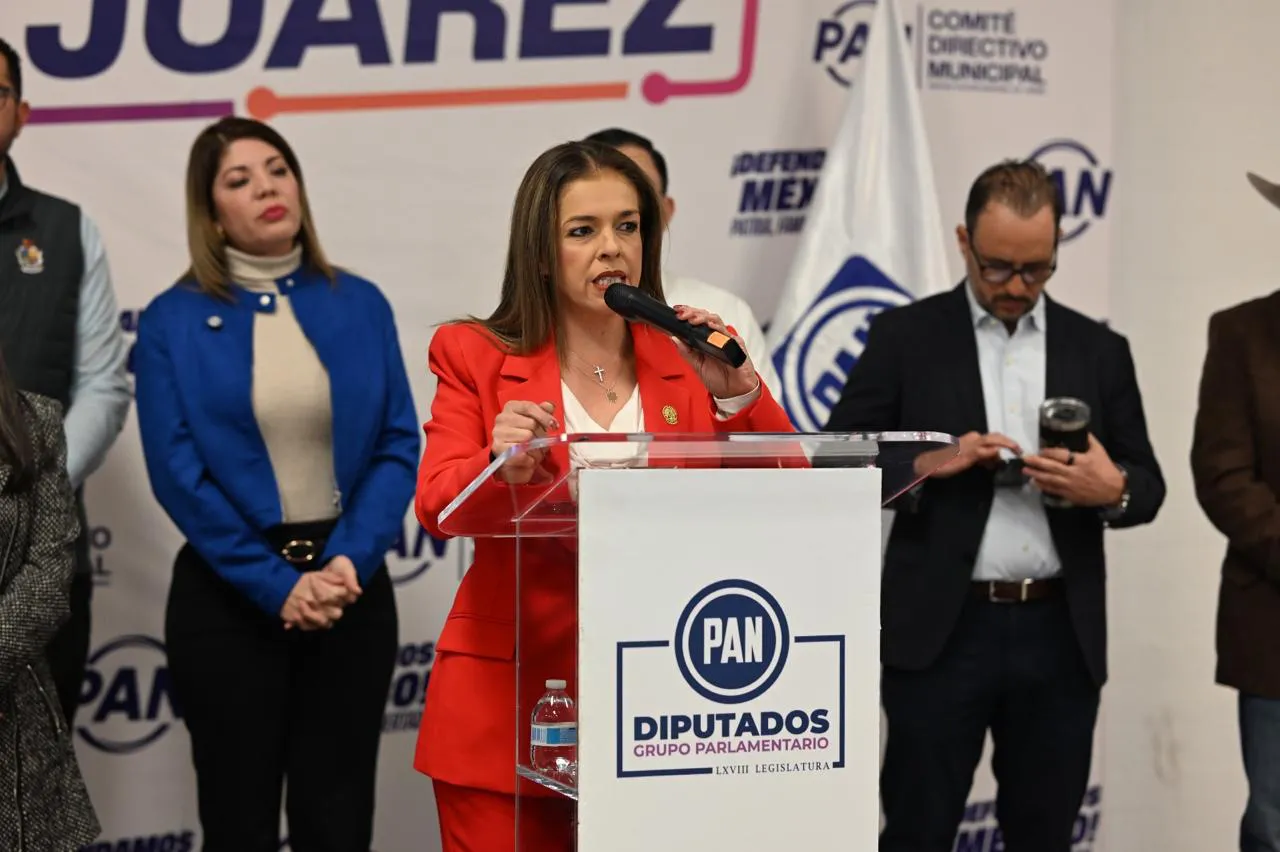 WhatsApp Image 2026-02-10 at 2.14.34 PM