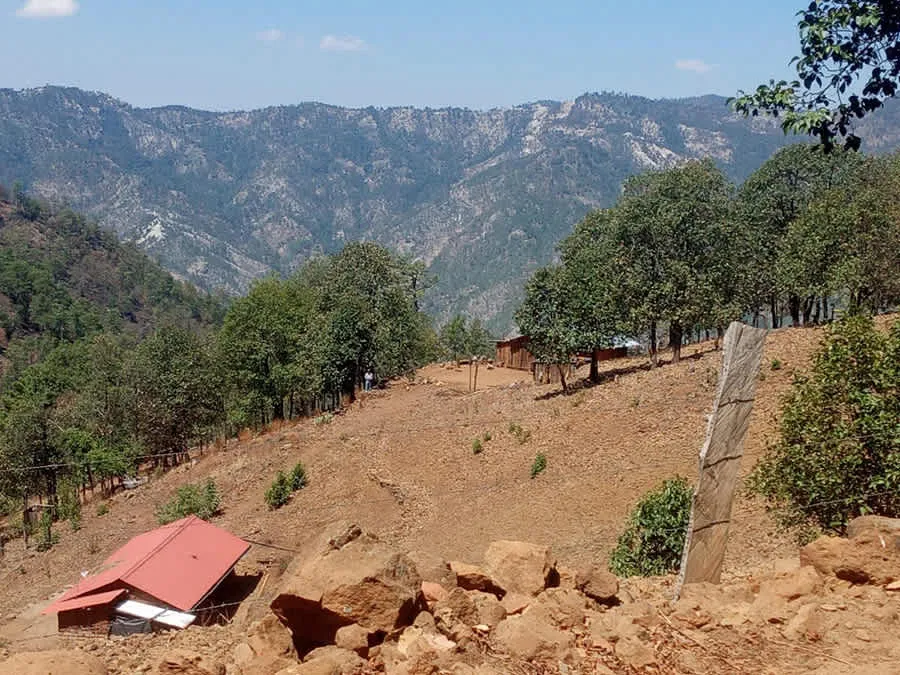 d001b6ad78404a479ee16d45ab3dbef2f2217ae2