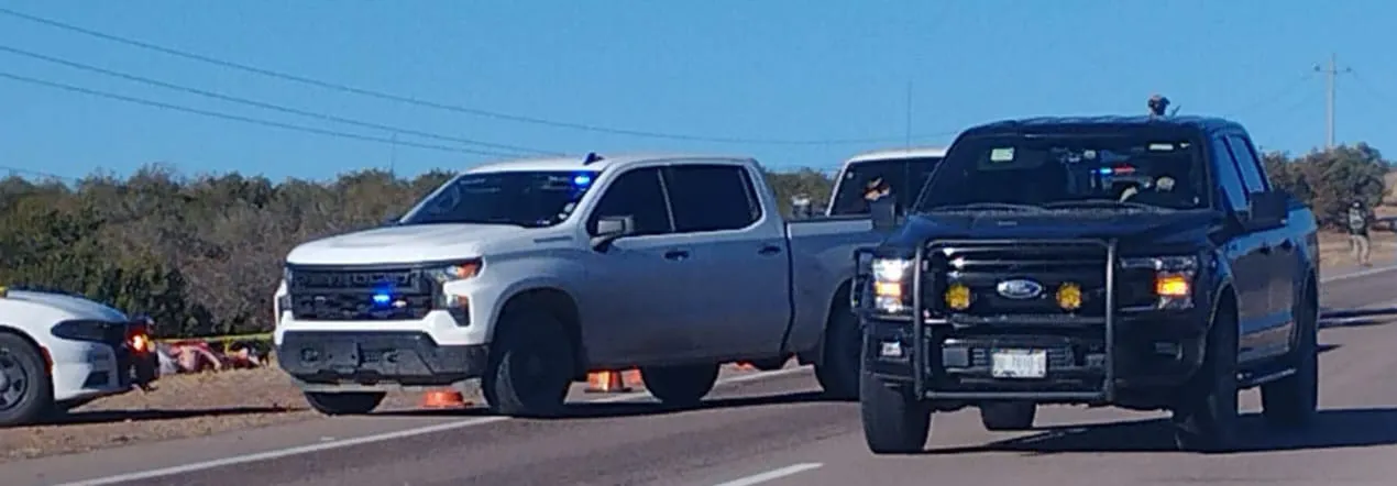 WhatsApp Image 2026-02-11 at 12.25.47 PM