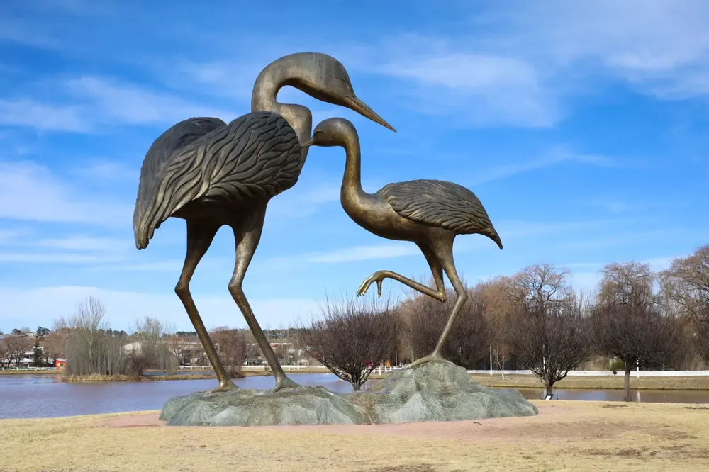 CAMBIO IMAGEN GUACHOCHI1