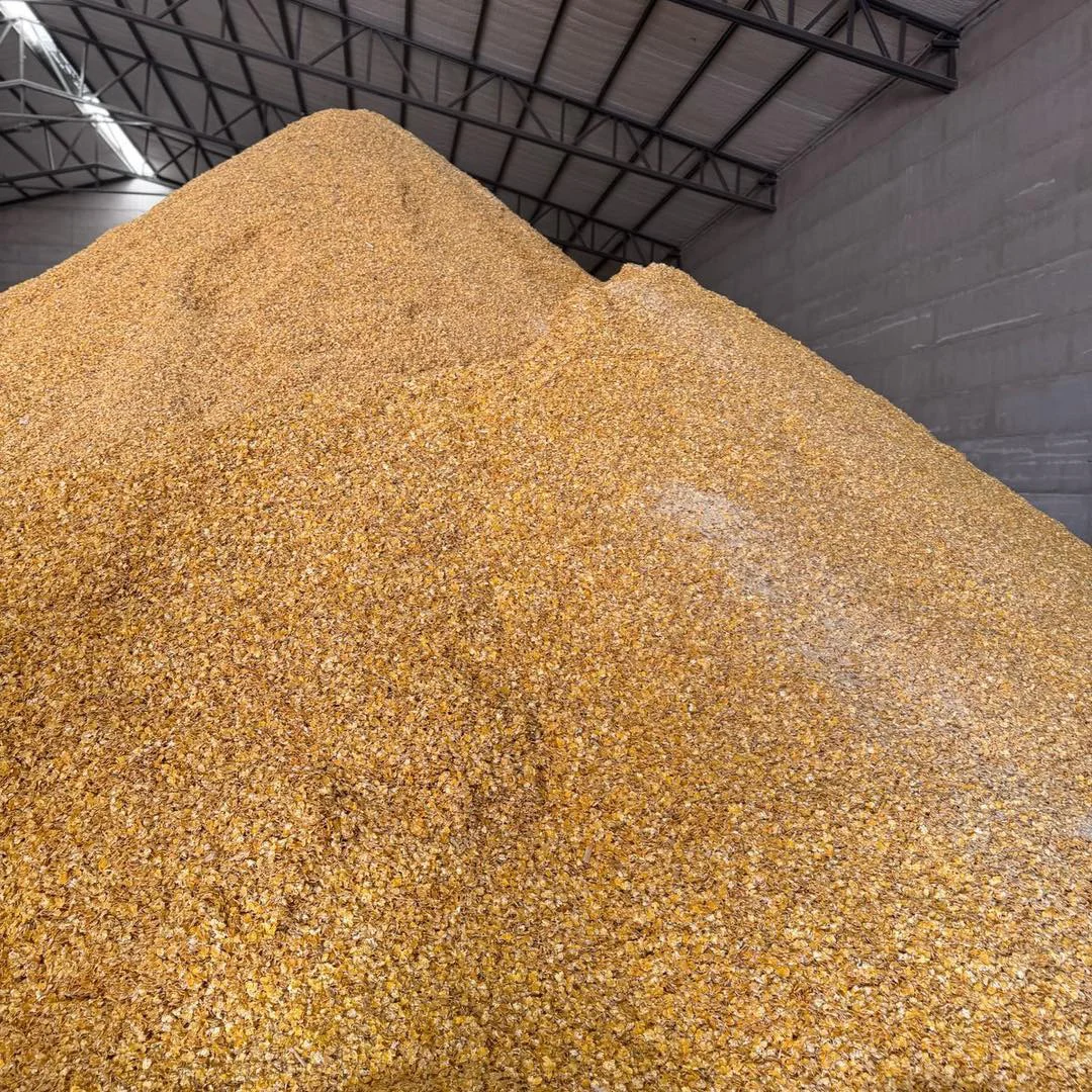 14243984-2fa9-4151-aa2b-c40cf0be73e9