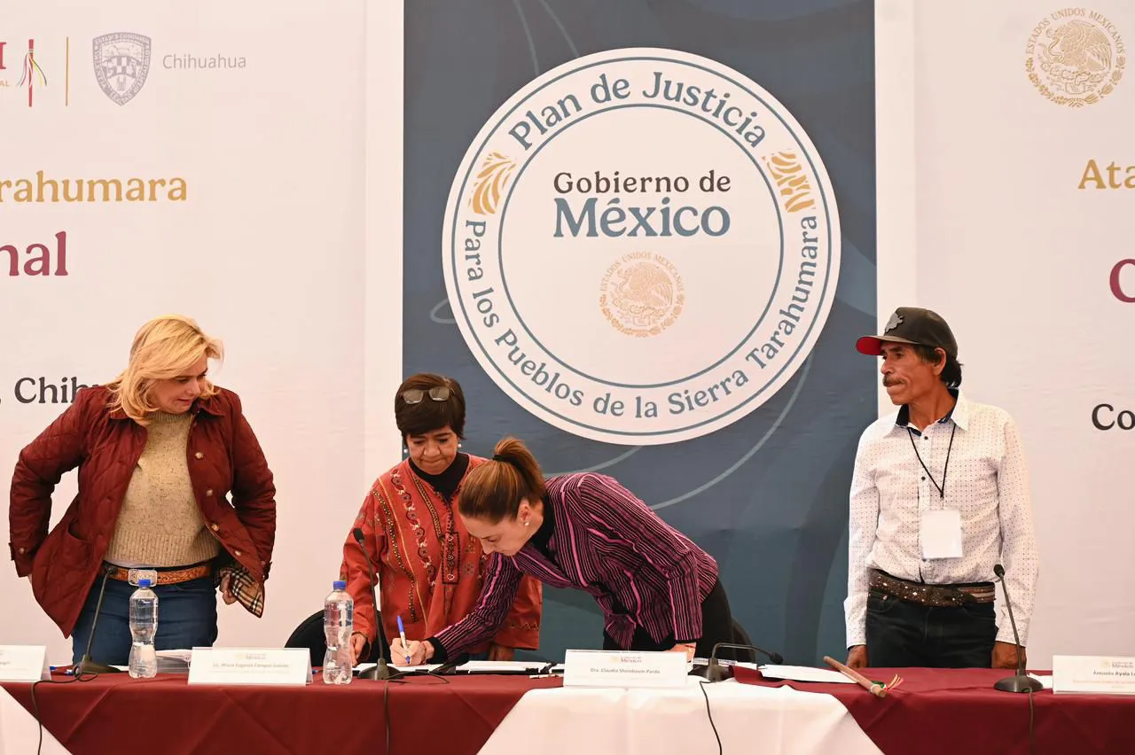 WhatsApp Image 2025-12-13 at 3.06.02 PM (1)