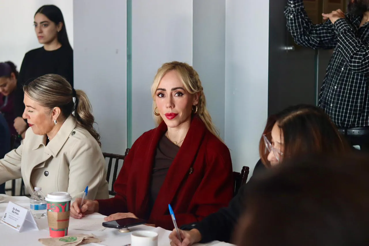 DIPUTADA BRENDA RIOS EVITA