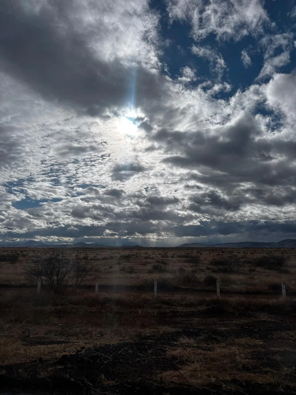 e9487795-5d74-4f1f-9009-958a85646582