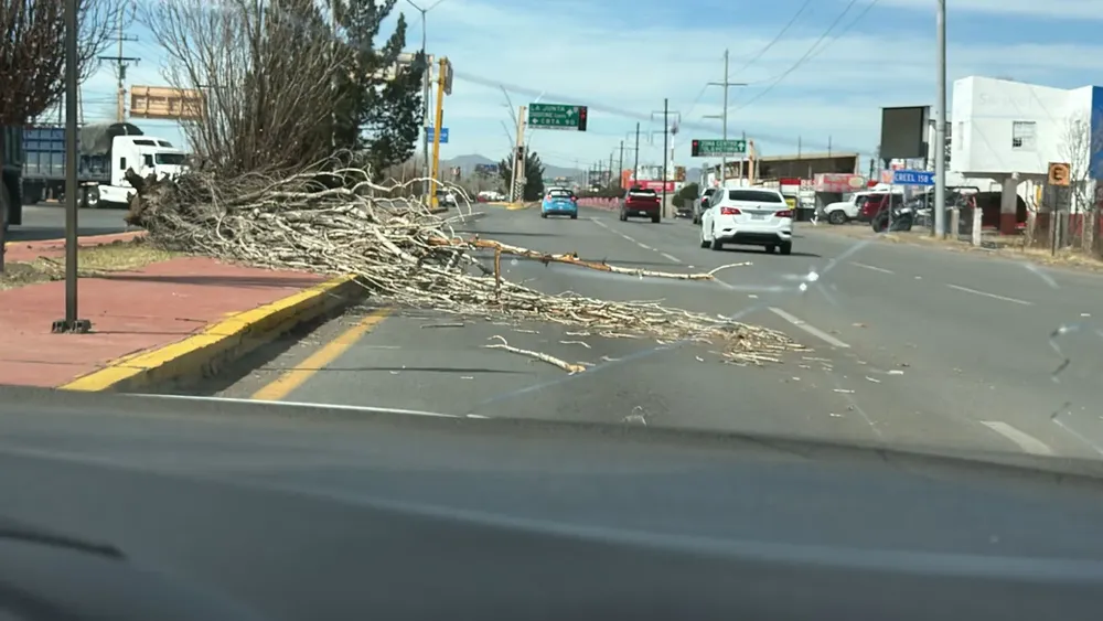FUERTES VIENTOS CUAUHTEMOC4