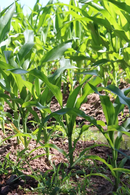 9523c086-7322-47c8-971e-dff1c49c48a8