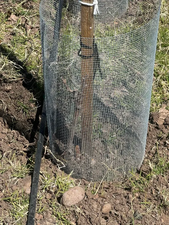 7dd9291d-2962-4560-8d65-aef36a720093