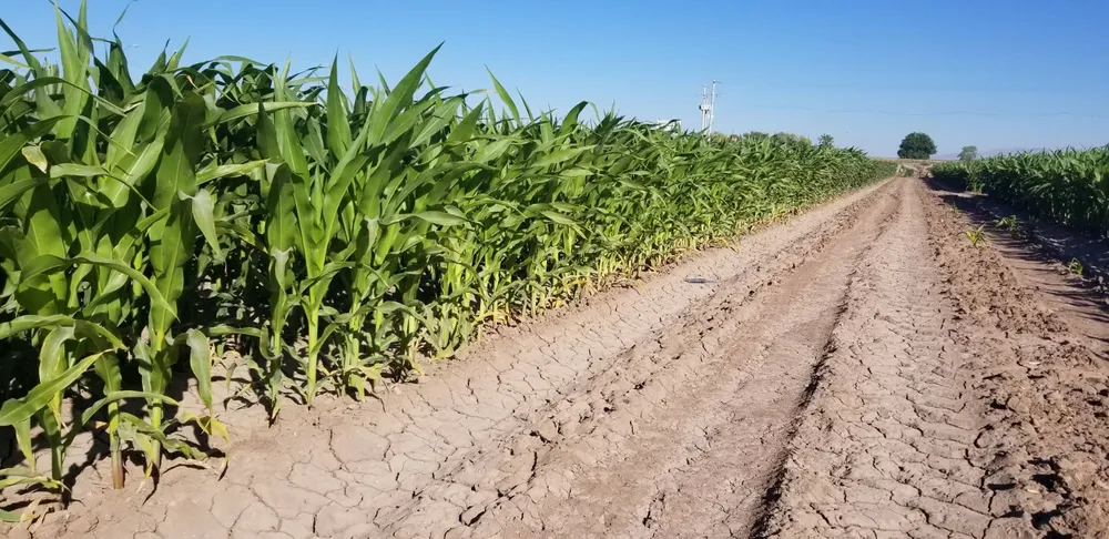 8ebccd82-10d2-4a11-9f58-1b6bfee36e2d