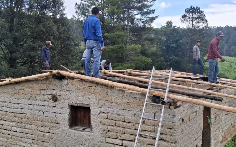 cosecha 5 .jpg