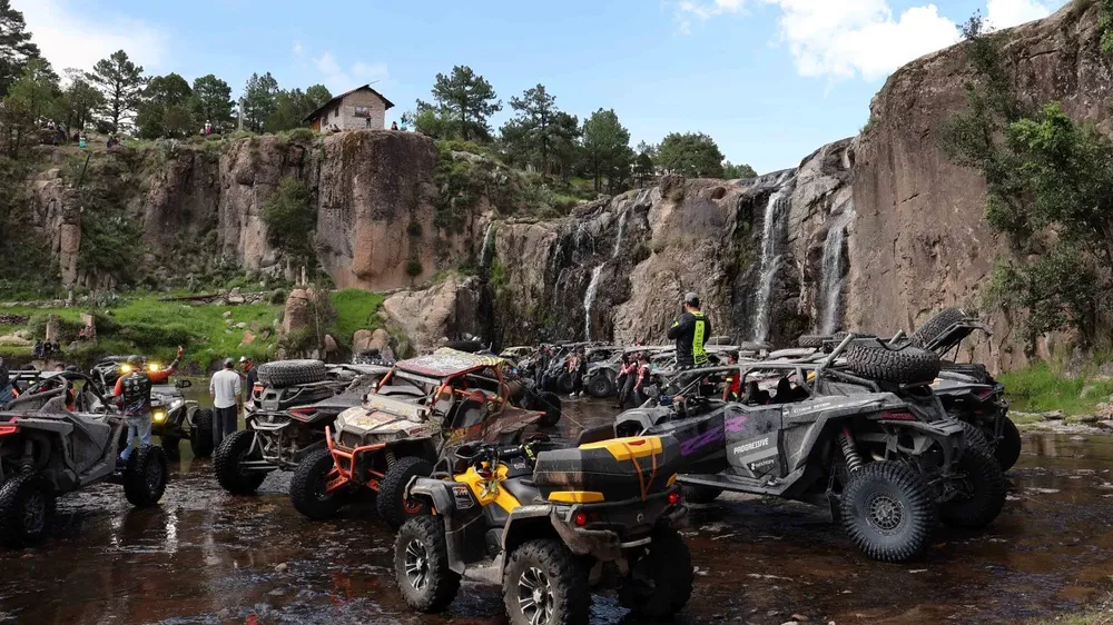 CAMBIO IMAGEN GUACHOCHI3