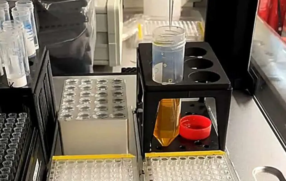 capture-20251225-095107