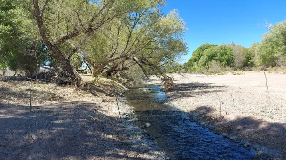 5a349e2e-a2eb-4eb8-9d6e-42d8de1afb65