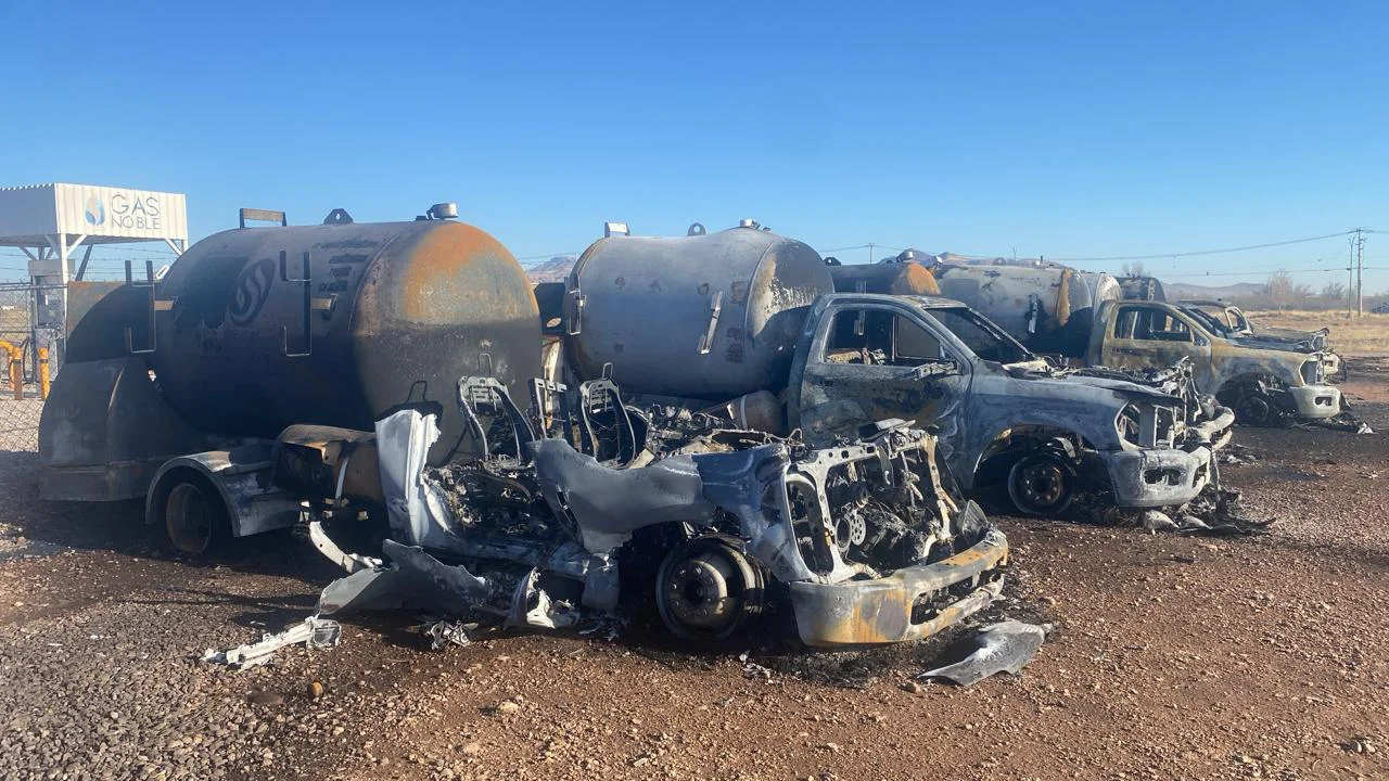 WhatsApp Image 2026-03-07 at 9.01.36 AM