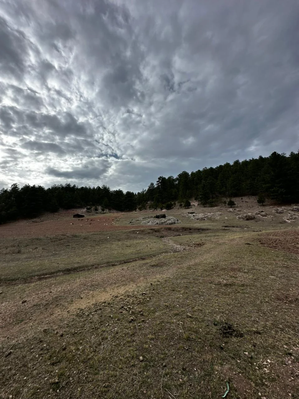 999efa5e-1ebb-42d8-9fea-3983361c397f