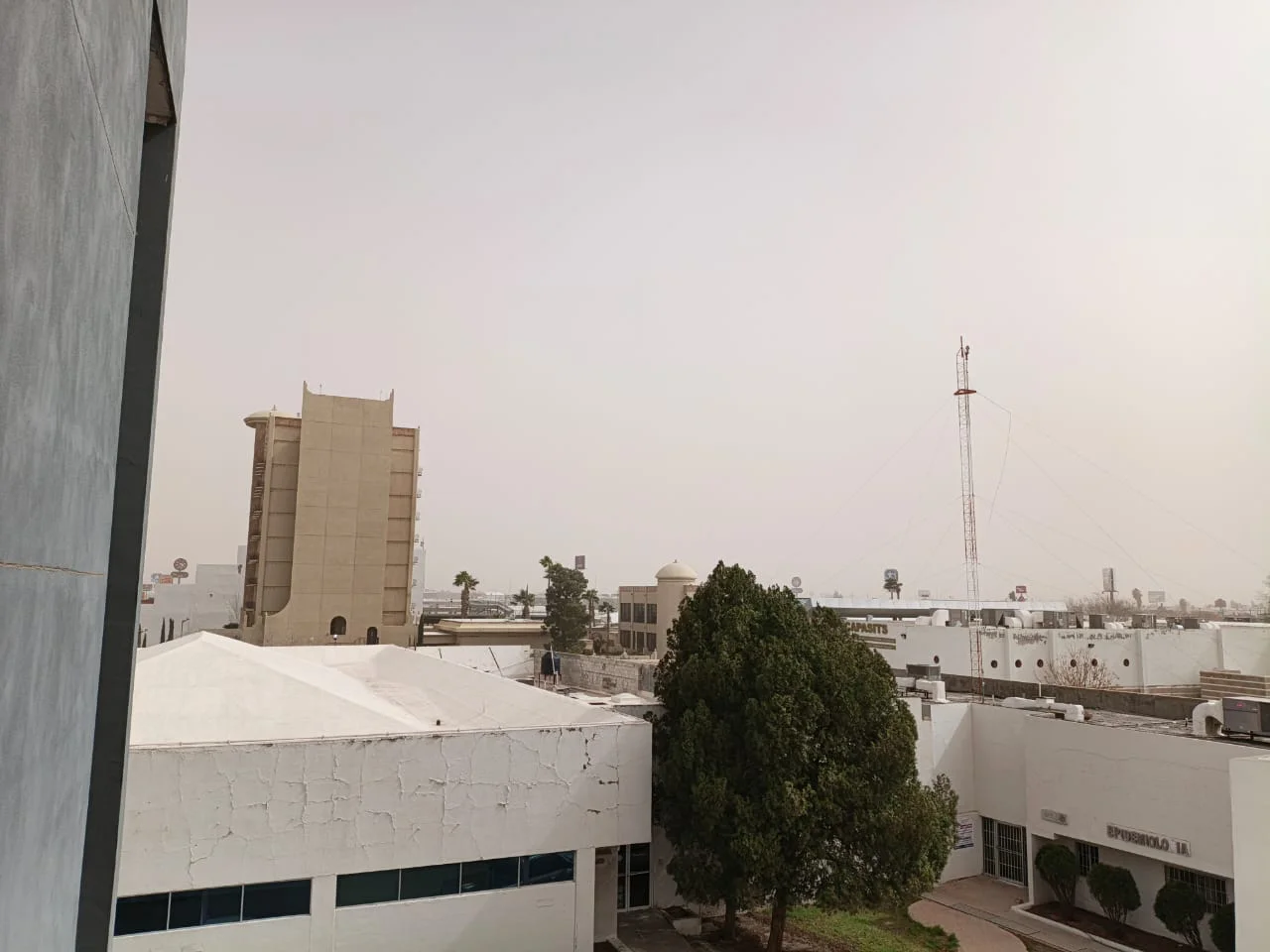 WhatsApp Image 2026-03-12 at 1.23.08 PM