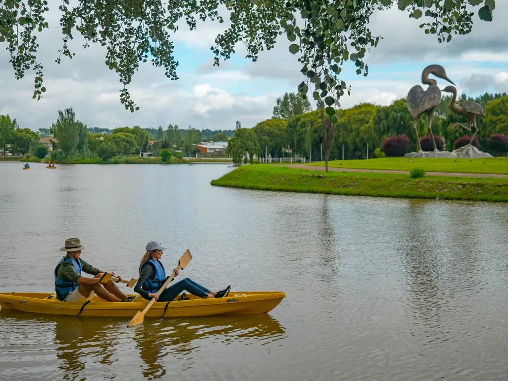 b9d236d4-9512-4377-b2e9-a4a33498672e