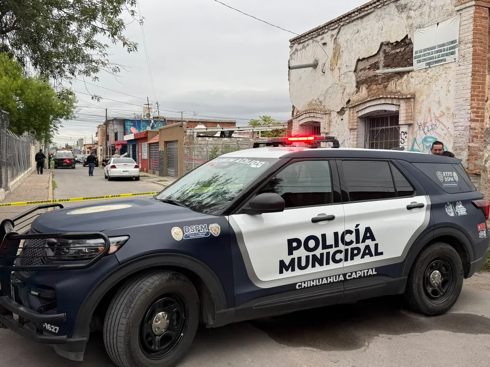 LOCALIZAN CRANEO HUMANO O RESINA1