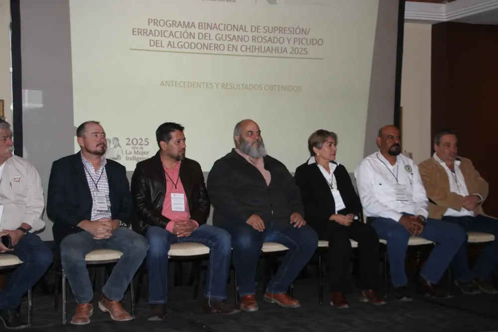 WhatsApp Image 2025-12-03 at 12.59.07 PM