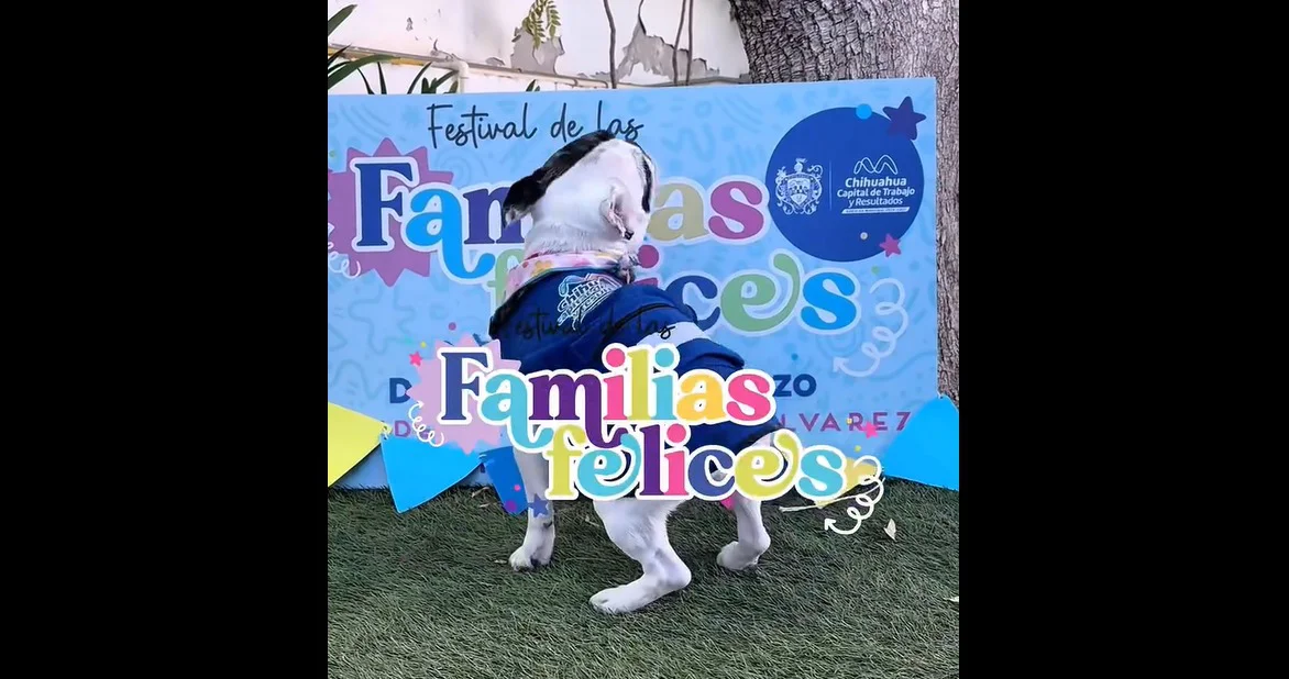 WhatsApp Image 2026-03-20 at 8.47.17 PM