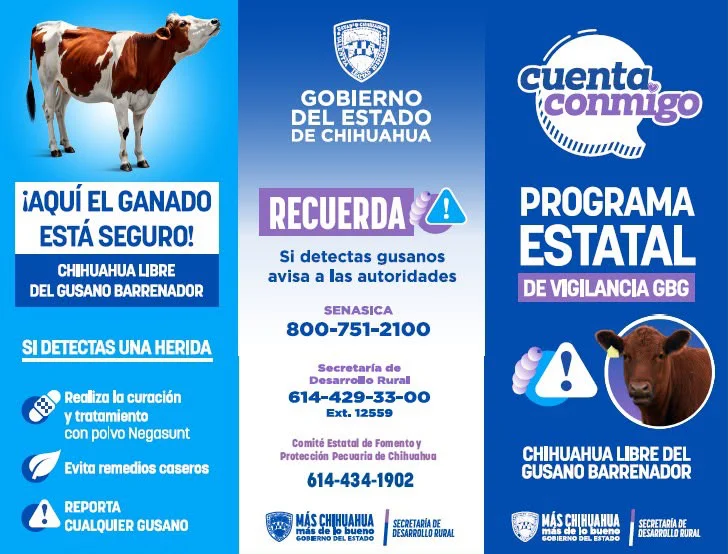 ALERTA SANITARIA PRIMER CASO GBG4