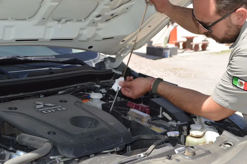 8ef132f8-5aac-4fd8-b9e4-b084eab7fabe