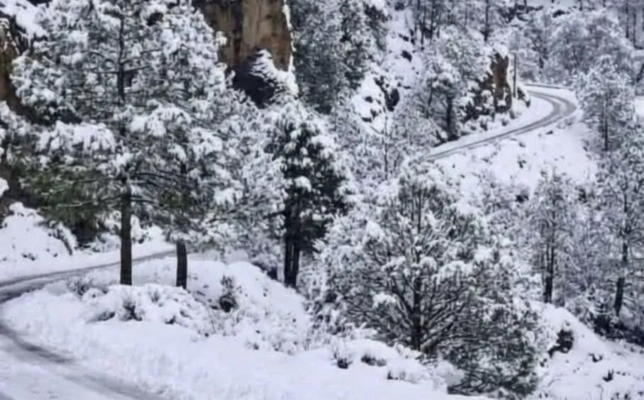 618814879_1220094686897778_200686554235098169_n