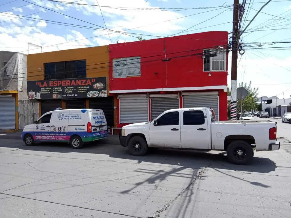 dc47aa8e-4484-483a-9701-3de1f736e6c8