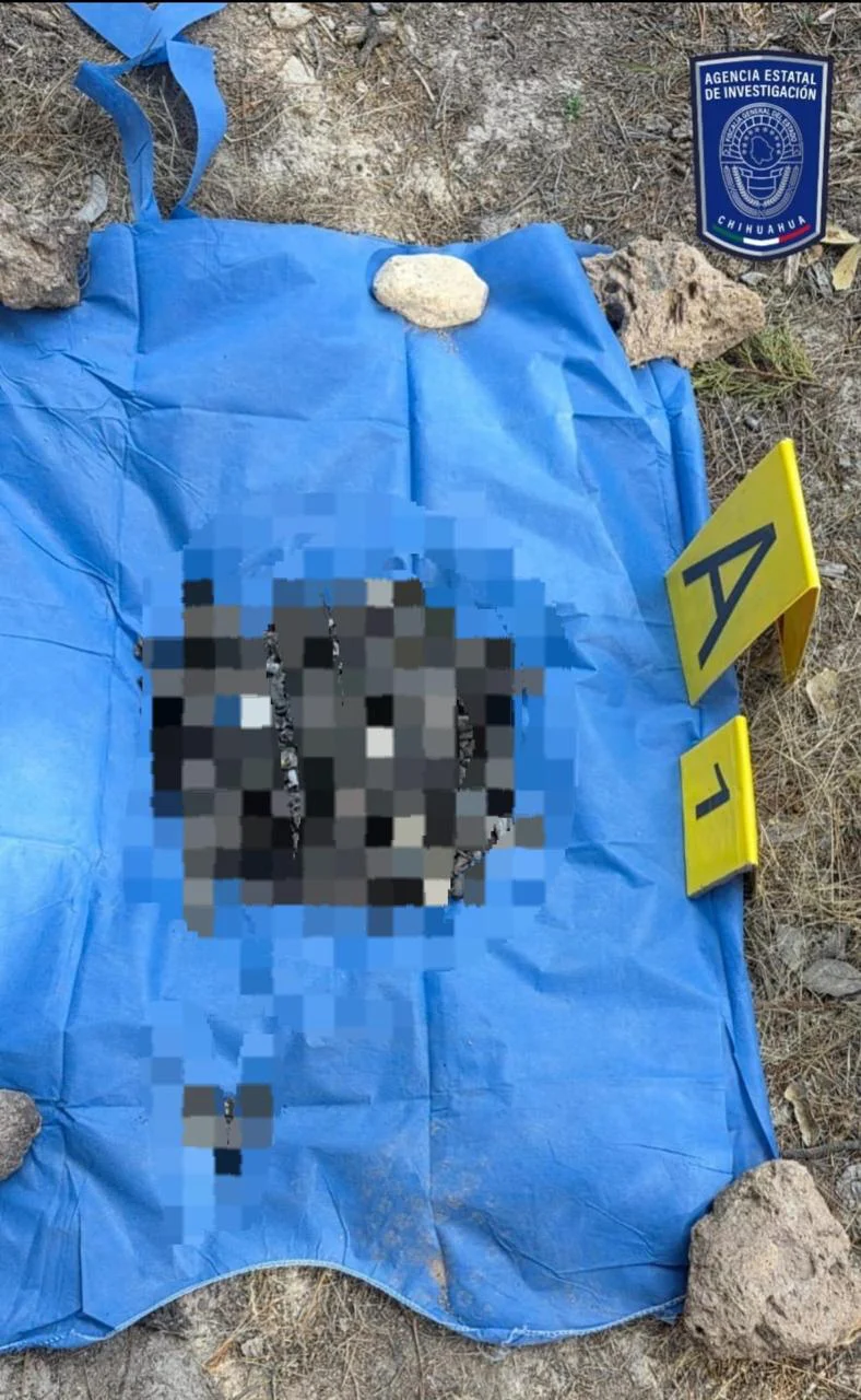 7dd9c637-8a71-4db3-9811-3f1b2a3ea51d