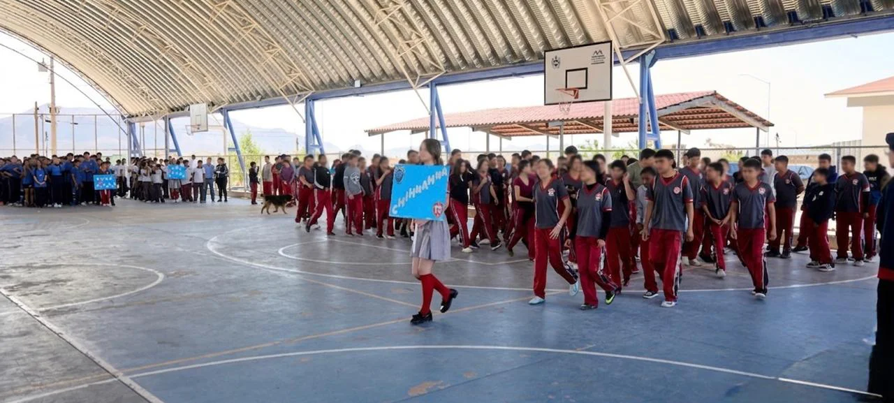 7b7234da-993a-4683-b000-6d290352776e