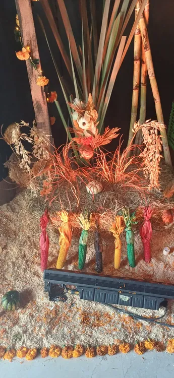 JARDIN RECUERDOS1