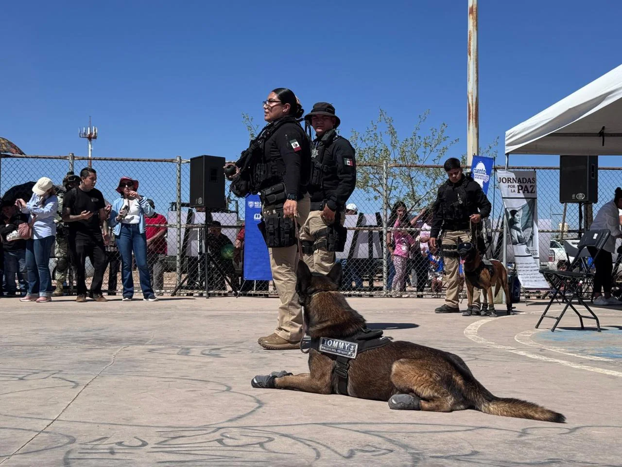 db8d1f3b-7e8e-4e2d-8f2c-bffbcb2354d1