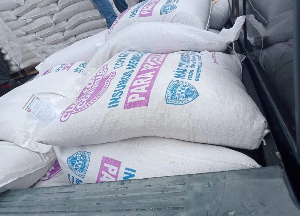 WhatsApp Image 2026-03-12 at 10.41.30 AM